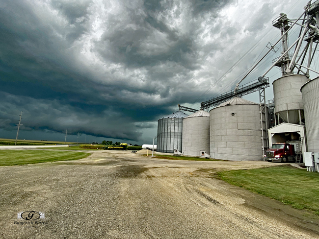 Loading before storm - Gingerich Farms