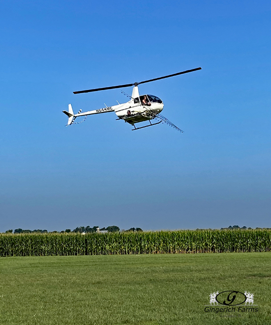 Helicopter - Gingerich Farms