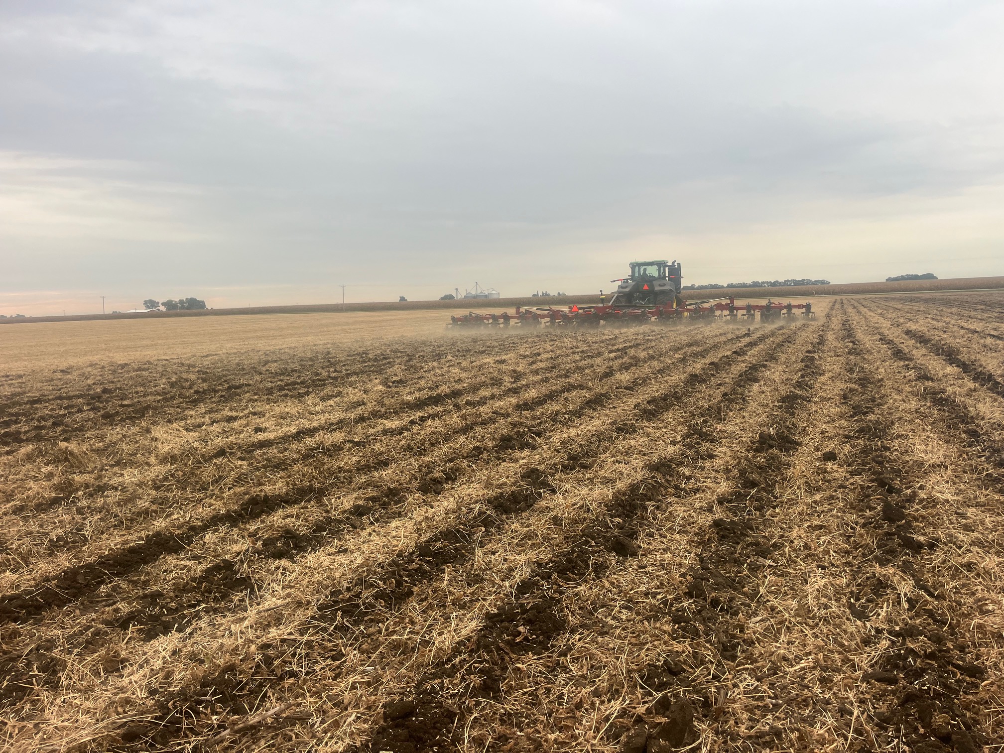 Harvesting October 8, 2026