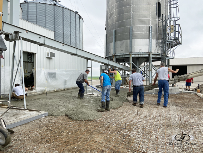 Pouring concrete - Gingerich Farms