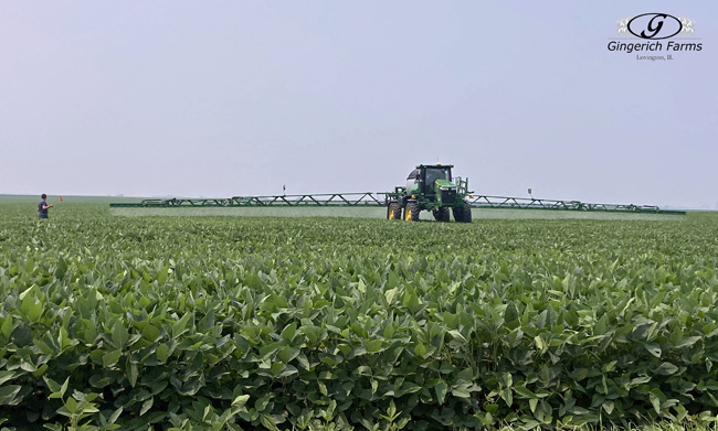 Test bean fungicide - Gingerich Farms