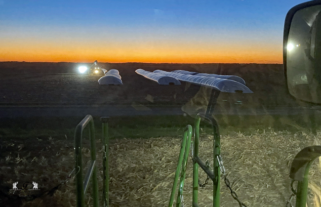 Bagging at night - Gingerich Farms