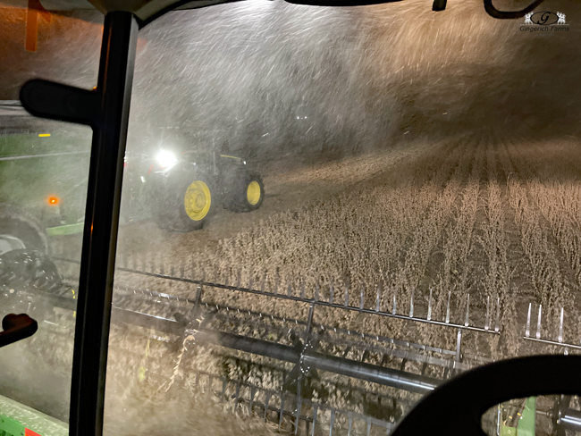 Bean harvest - Gingerich Farms