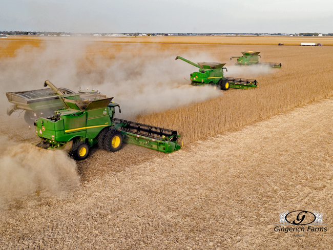 Bean Harvest - Gingerich Farms