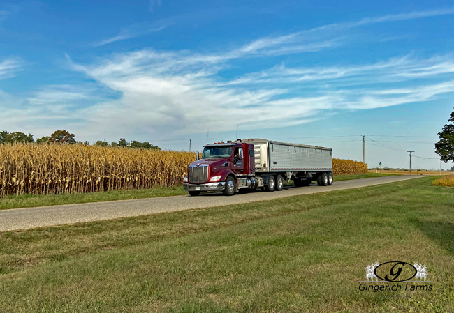 Loaded bean truck - Gingerich Farms