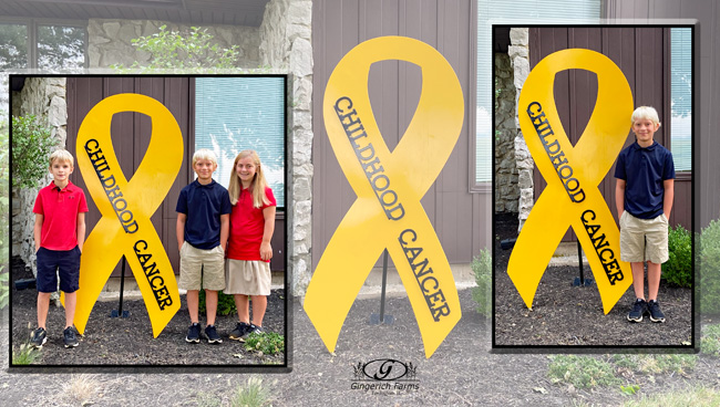 Childhood Cancer - Gingerich Farms