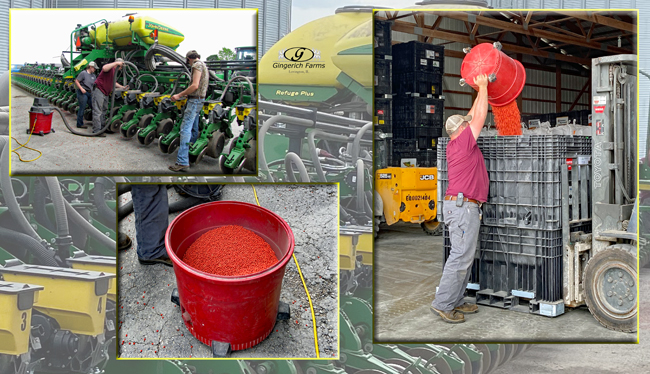 Cleaning out bean planter at Gingerich Farms