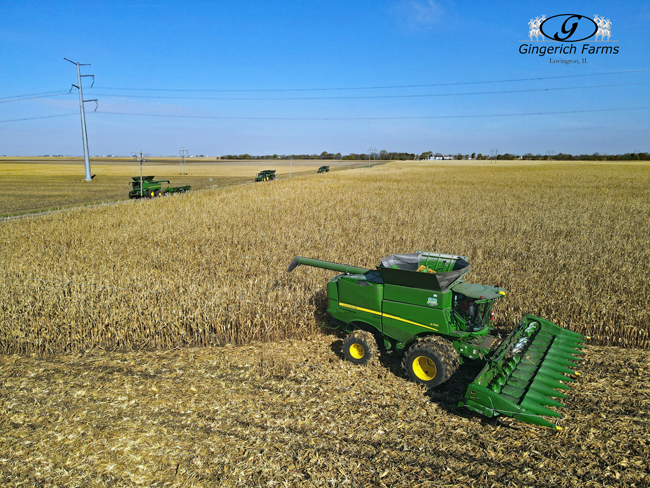 Rest of Harvest crew - Gingerich Farms