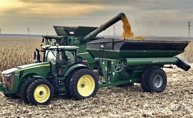 Corn harvest - Gingerich Farms