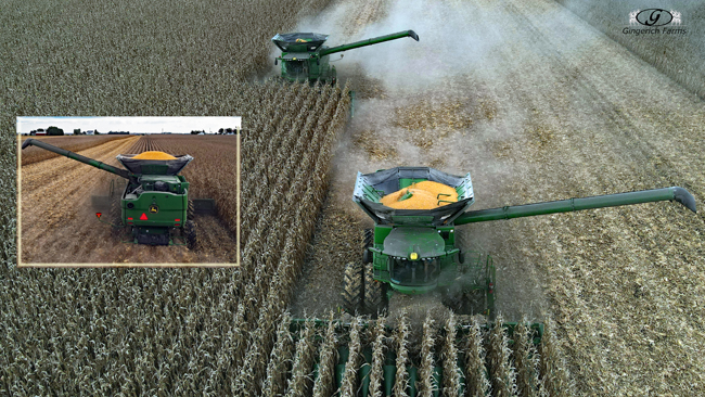 Corn harvest - Gingerich Farms