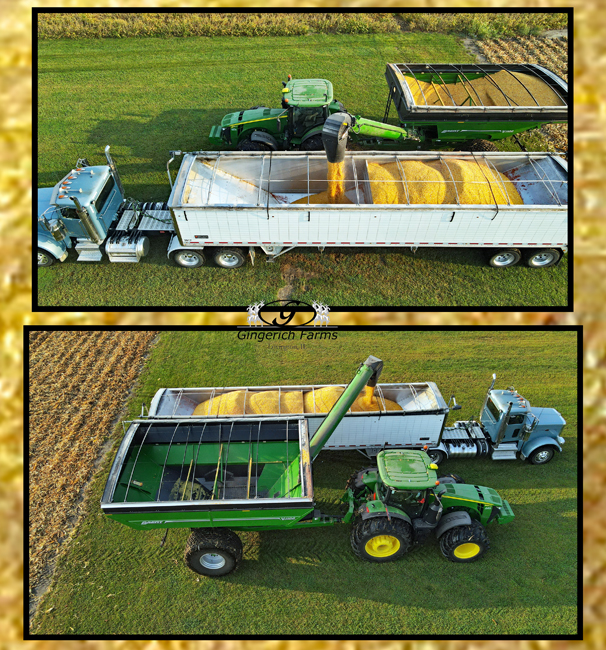 Unloading corn - Gingerich Farms