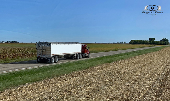 Gingerich Truck - Gingerich Farms