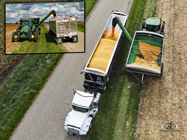 Corn Harvest - Gingerich Farms