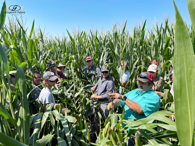 Field Day - Gingerich Farms