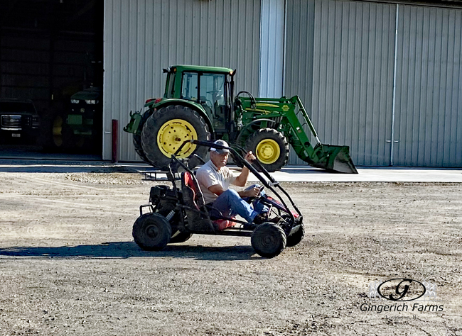 Go Cart - Gingerich Farms