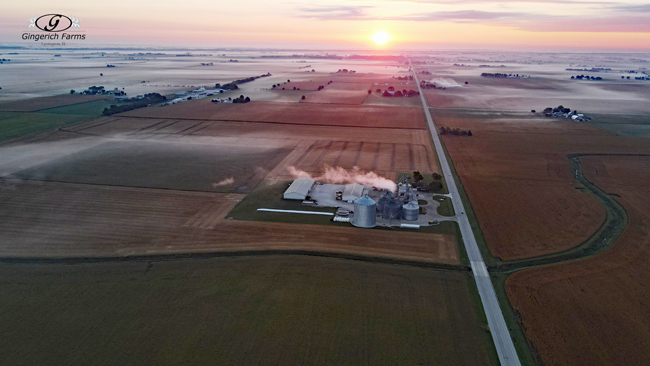 Fog - Gingerich Farms