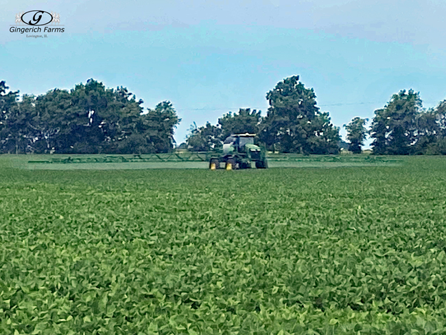 Bean fungicide - Gingerich Farms