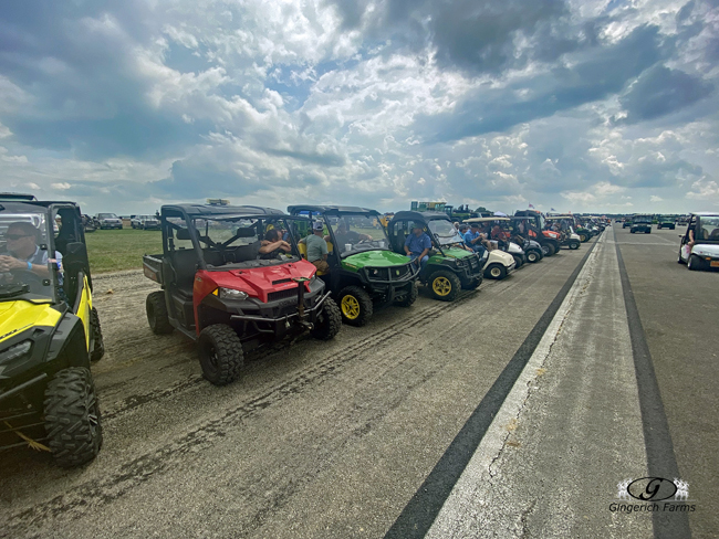 Gators lined up - Gingerich Farms