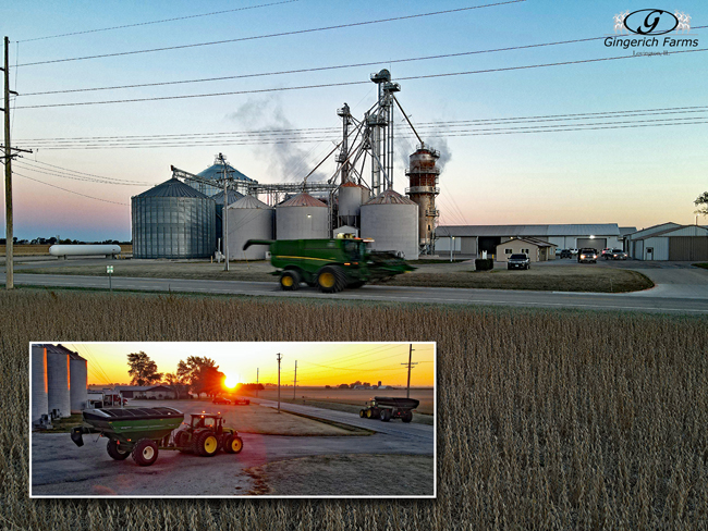 Combine & auger cart - Gingerich Farms