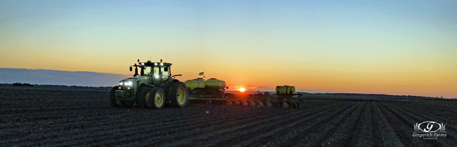 sunrise at Gingerich Farms