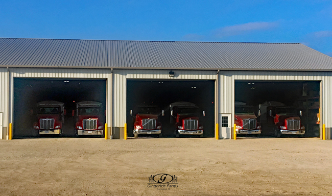 Trucks at Gingerich Farms