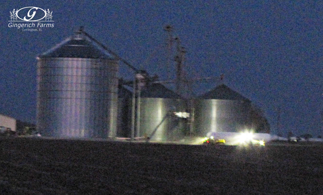 corn planting at Gingerich Farms