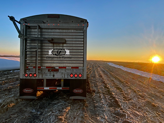 Early morning hauling - Gingerich Farms