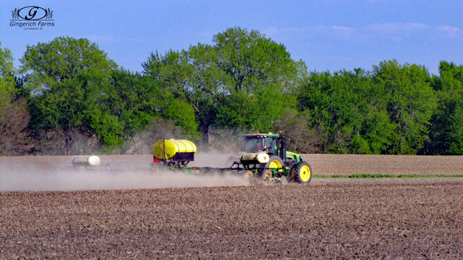 Warmer at Gingerich Farms