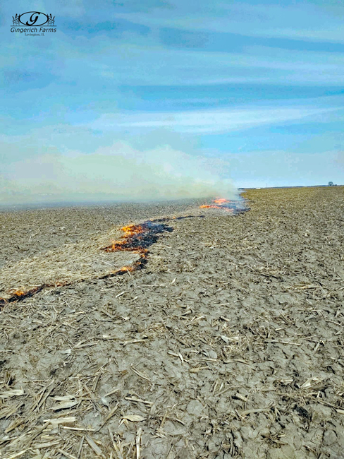 Burning corn stalks at Gingerich Farms