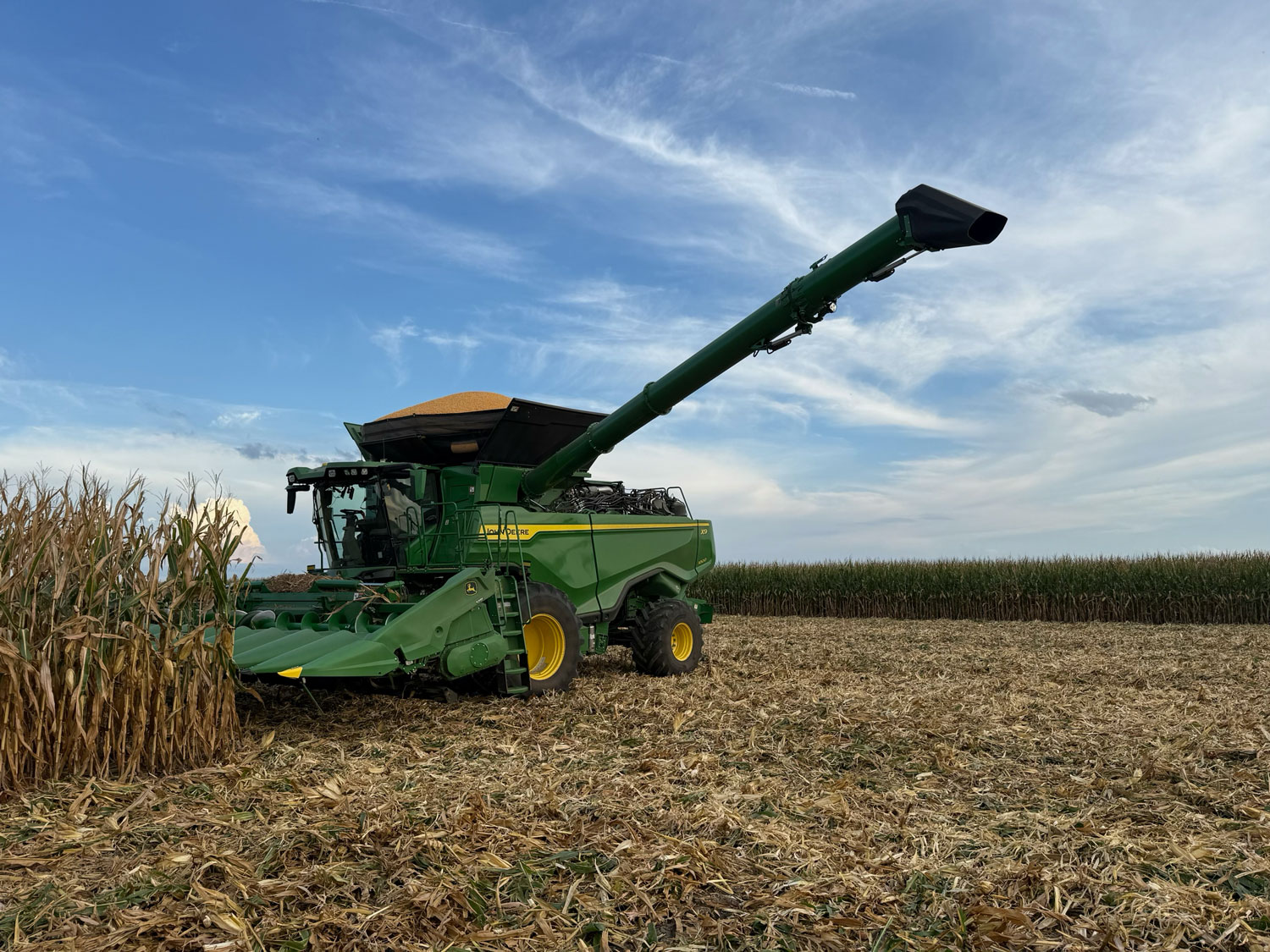 Harvesting October 8, 2026