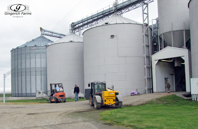 Forklift stuck at Gingerich Farms