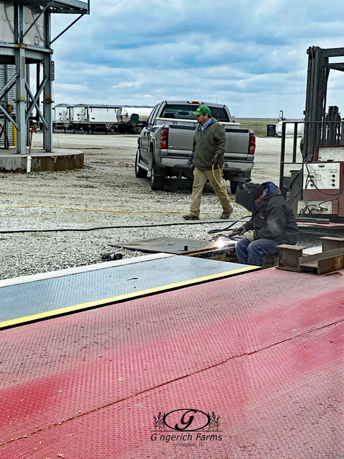 Scale work at Gingerich Farms