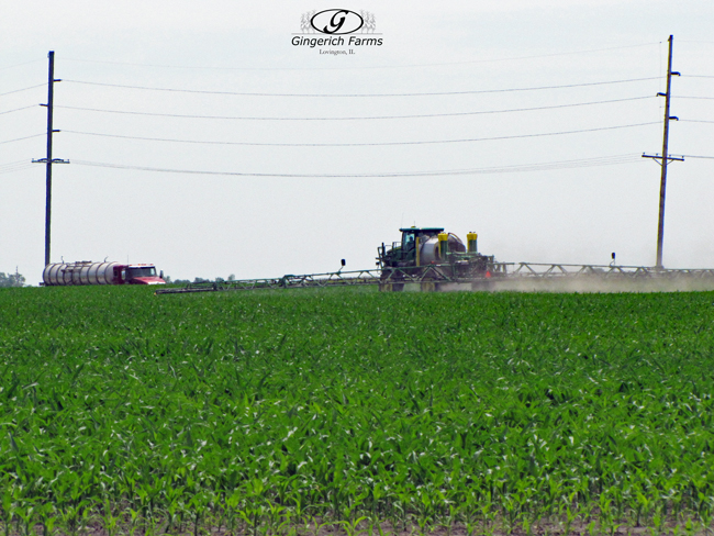 Spraying at Gingerich Farms