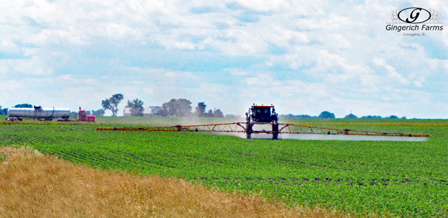 Spraying at Gingerich Farms