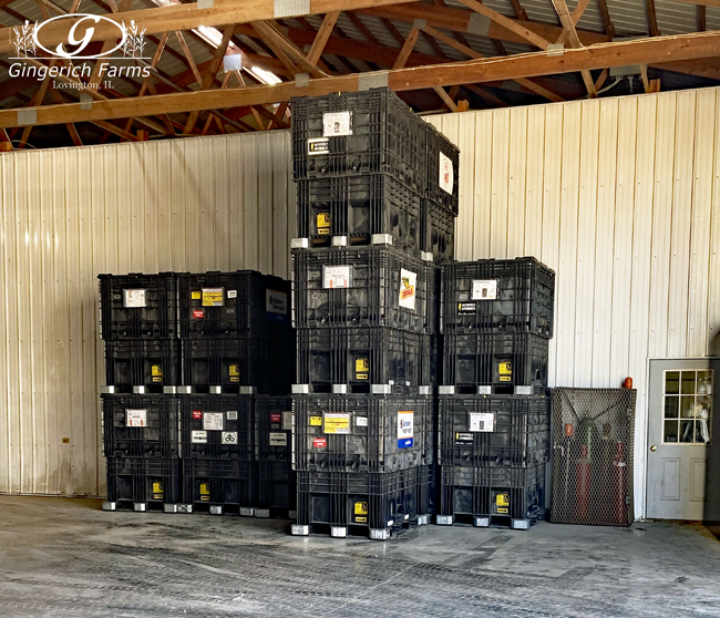 Empty seed boxes at Gingerich Farms