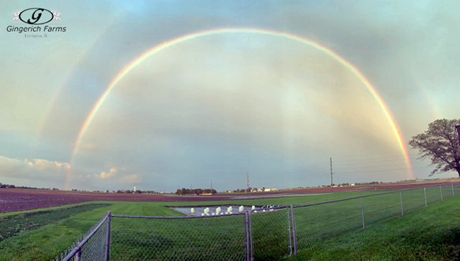 Double rainbow at Gingerich Farms