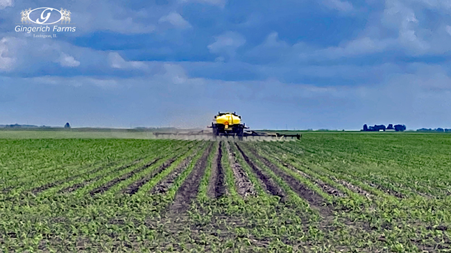 Sidedress at Gingerich Farms