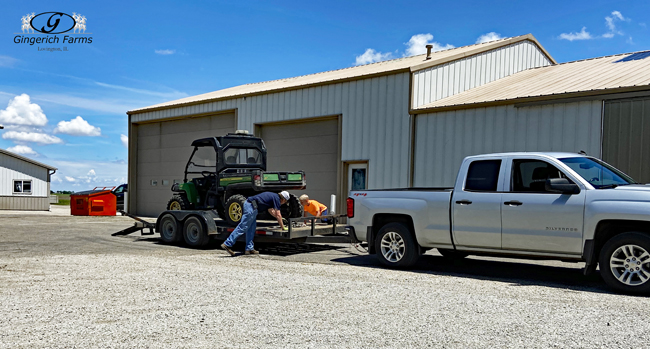 Gator on trailer at Gingerich Farms