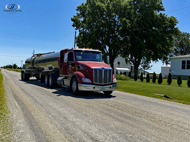 Trucking at Gingerich Farms