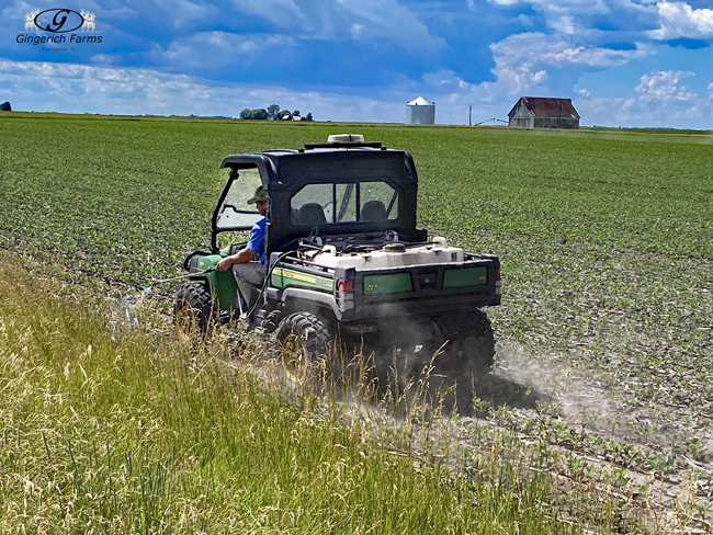 Spraying fields edges at Gingerich Farms