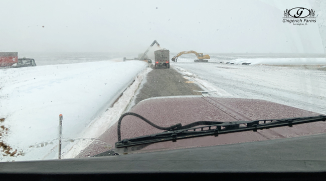 Snowy unloading bags at Gingerich Farms