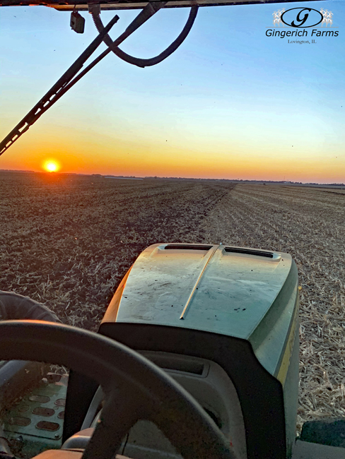 Chiseling - Gingerich Farms