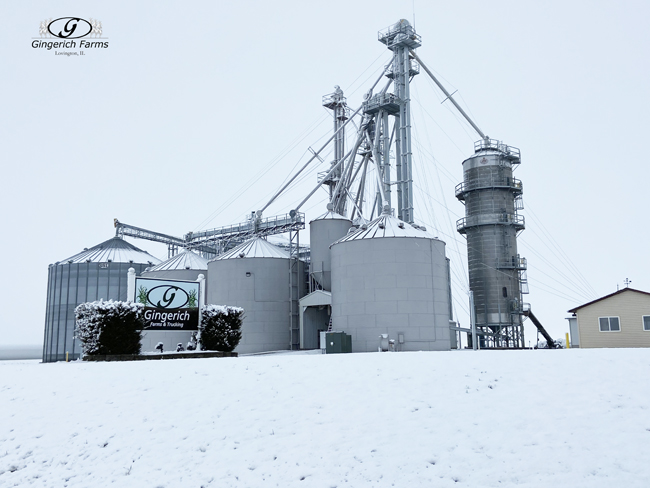 Grain Center - Gingerich Farms