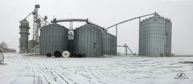 Snowy Wednesday - Gingerich Farms