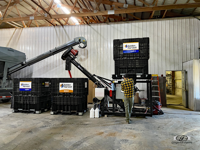 Treating beans - Gingerich Farms