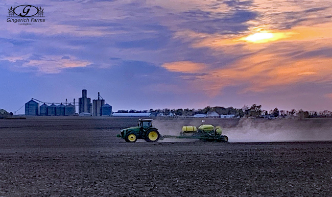 corn planting at Gingerich Farms