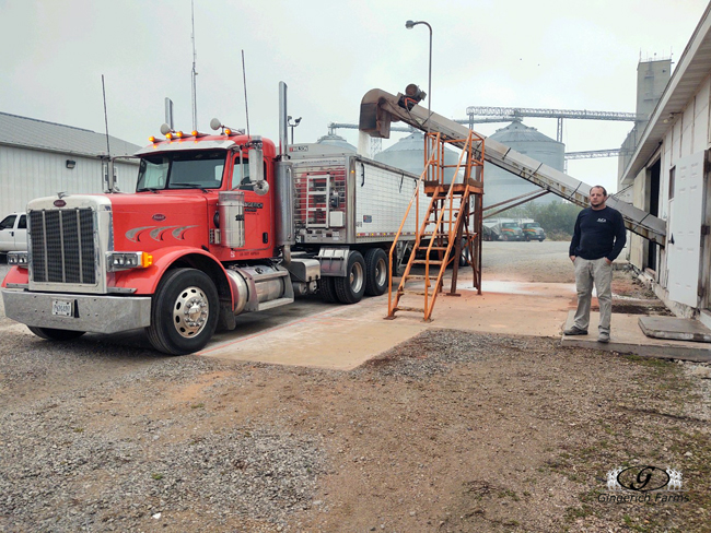 Loading fertilizer - Gingerich Farms