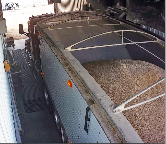 Last load of 2018 beans at Gingerich Farms