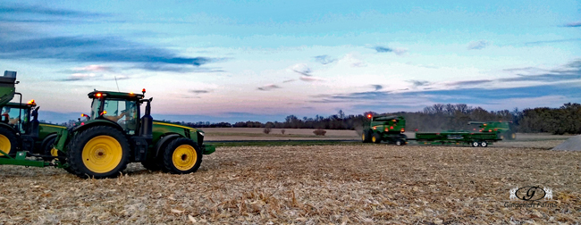 Last corn Field - Gingerich Farms