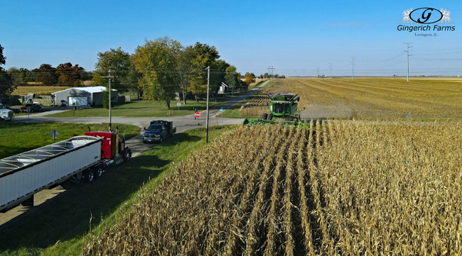 Opening Field - Gingerich Farms